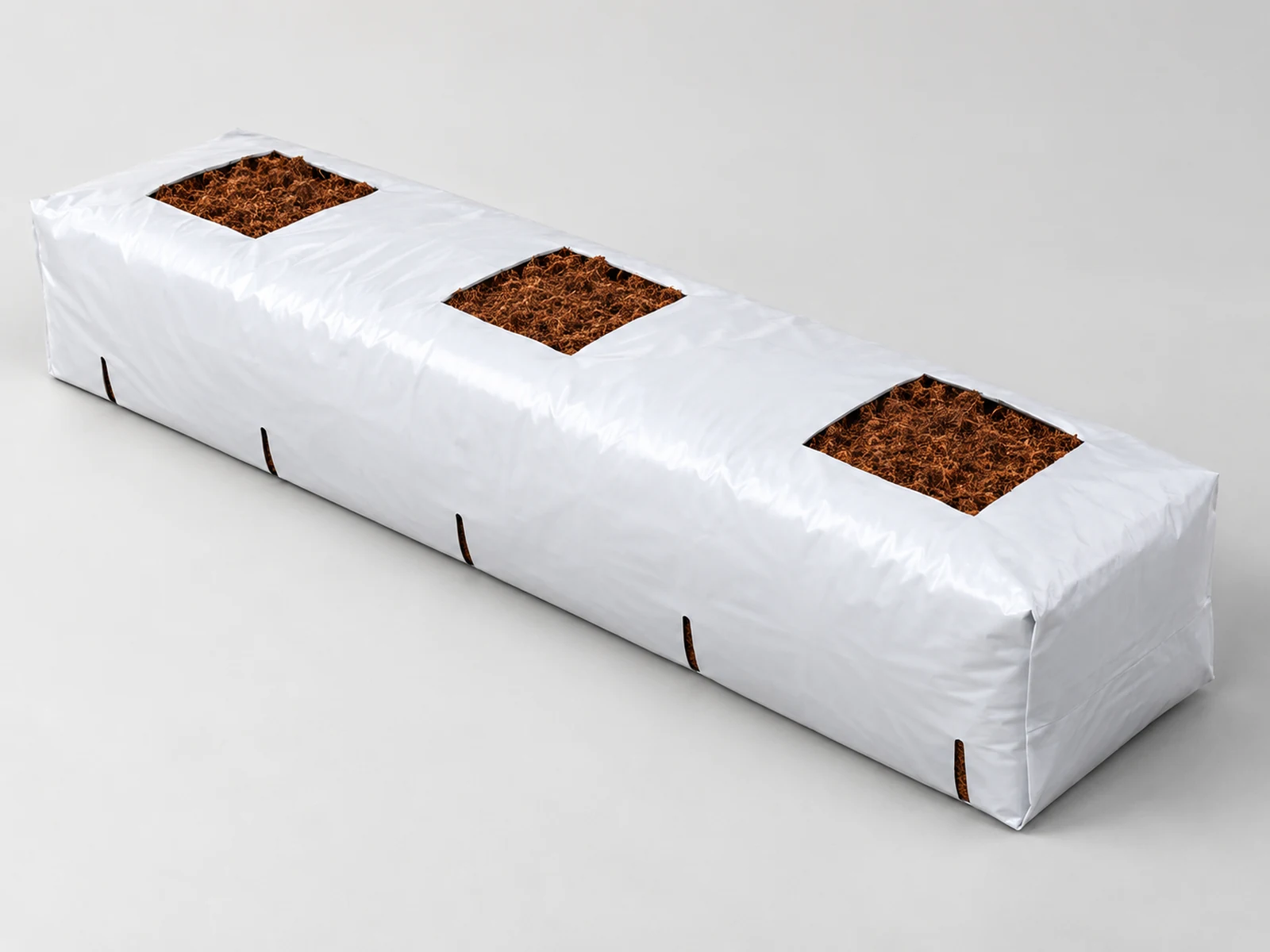 A coco grow bag slab with planting holes and drainage cuts.